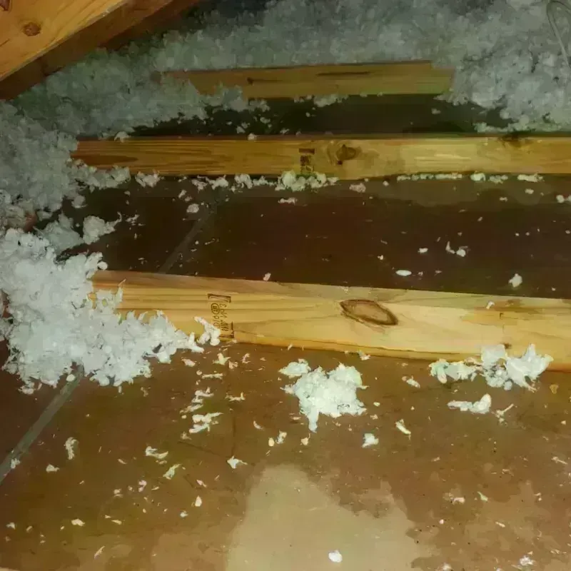 Attic Water Damage in Sesser, IL