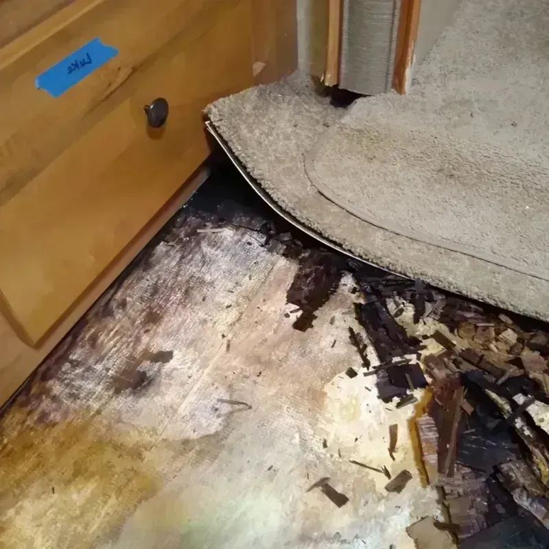 Wood Floor Water Damage in Sesser, IL